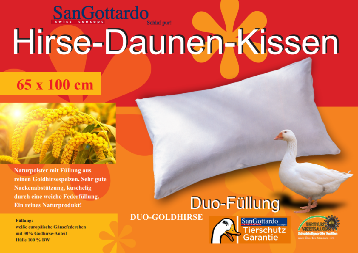 Hirse-Daunen Kissen