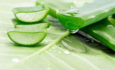 Bio Aloe Vera