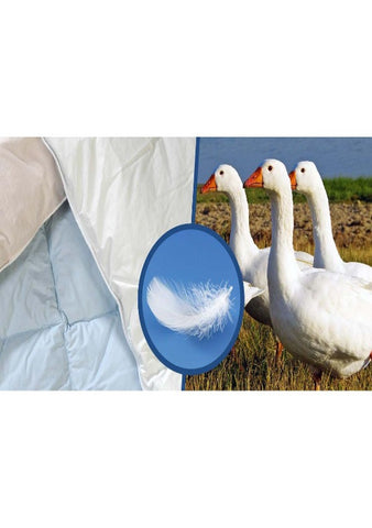 Swiss Eco Daunen Duvet